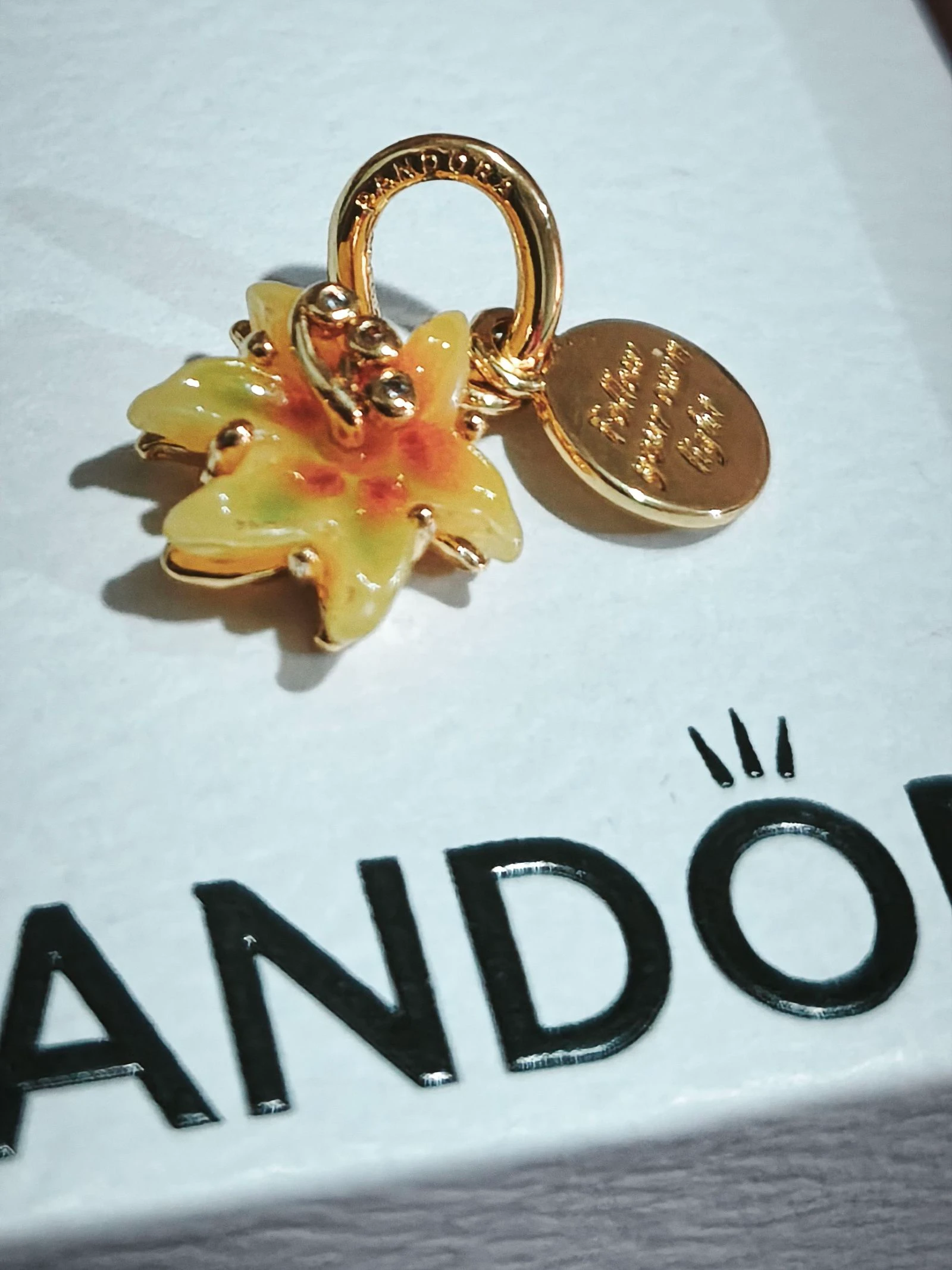 Charm Rapunzel – photo 2